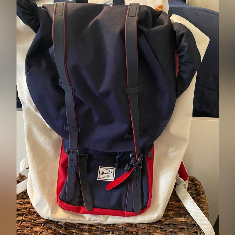 Heirshel backpack